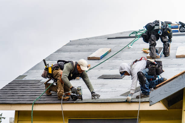 Professional Gutter Installation technician working in Saint Paul, IA